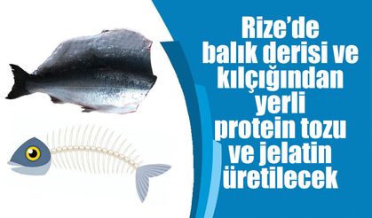 Rize’de balık derisi ve kılçığından yerli protein tozu ve jelatin üretilecek