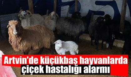 Artvin'de 2 ay süreyle hayvan hareketlerine kısıtlama