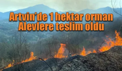 Artvin’de orman yangını 1 hektar alan yandı