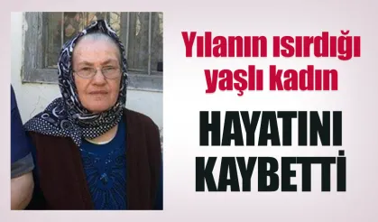 Artvin’in Yusufeli ilçesinde yılanın ısırdığı yaşlı kadın hayatını kaybetti