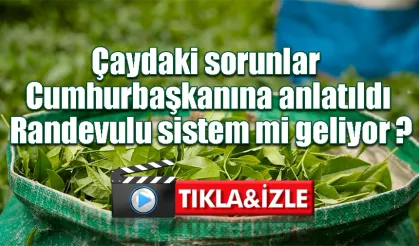 Çaydaki sorunlar Cumhurbaşkanına anlatıldı. Randevulu sistem mi geliyor ?