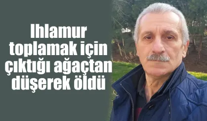 Ihlamur toplamak için çıktığı ağaçtan düşerek öldü