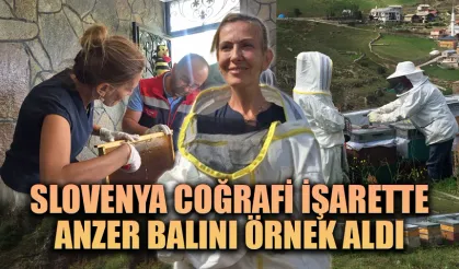 Slovenya Coğrafi İşarette Anzer Balını örnek aldı