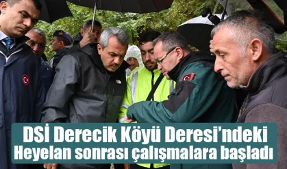 DSİ Çayeli Derecik Köyünde çalışmalara başladı