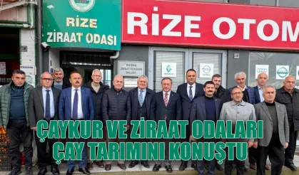 Çaykur ve Ziraat Odaları çayı konuştu