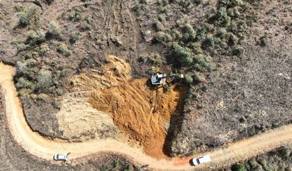Barınak hazırlanıyor, Rize'de başıboş köpek kalmayacak