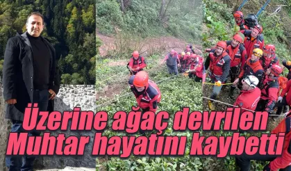 Rize'de üzerine ağaç devrilen muhtar hayatını kaybetti