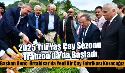 2025 Yılı Yaş Çay Sezonu Trabzon'da da Başladı