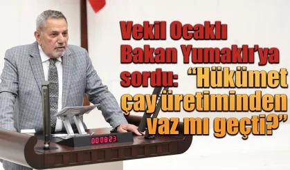 Tahsin Ocaklı'dan soru önergesi "Hükümet çay üretiminden vaz mı geçti?