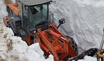 Aylardan haziran, Rize'de ekipler kar peşinde