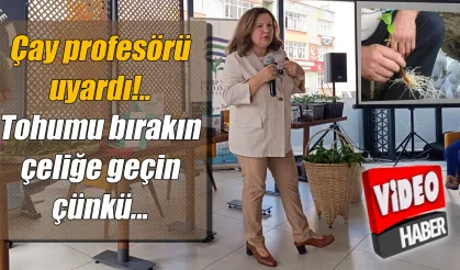 Çay profesörü uyardı: Tohumu bırakın çeliğe geçin çünkü...