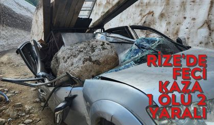 Rize'de kamyonete kaya düştü:1 ölü 2 yaralı