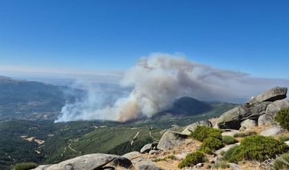 İspanya’da 3 farklı noktada orman yangını