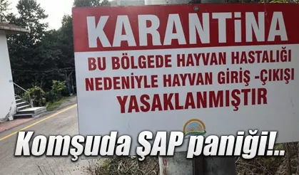 Komşuda Şap hastalığı nedeniyle 30 gün karantina