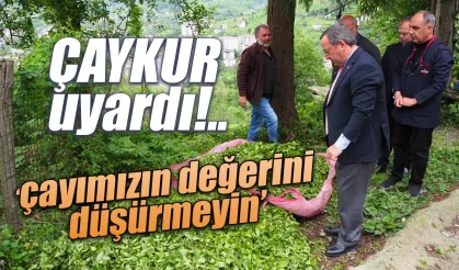 ÇAYKUR uyardı, 'çayımızın değerini düşürmeyin'