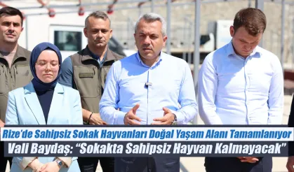 Vali Baydaş: “Sokakta Sahipsiz Hayvan Kalmayacak”