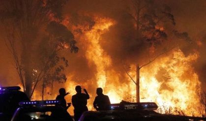İspanya’da orman yangını: 1 kişi öldü, bin hektardan fazla alan kül oldu