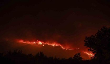 İspanya’daki orman yangınında 1 gönüllü itfaiyeci hayatını kaybetti
