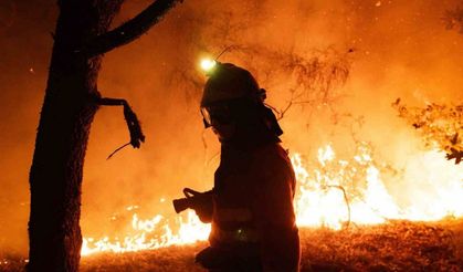 İspanya’daki orman yangınlarında 407 bin hektarlık alan kül oldu