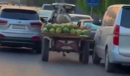 Şam’da karpuz yüklü at arabası trafiği birbirine kattı