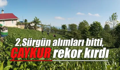 ÇAYKUR 2. sürgünü rekor alımla kapattı