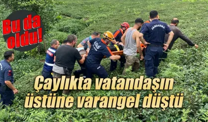 Rize'de varangel vatandaşın üstüne düştü