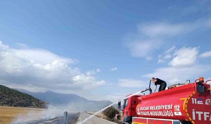Bucak’ta arazi yangını