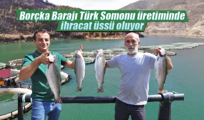 Artvin'de Barajlar hem enerji hem de somon üretiyor