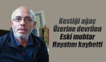Rize'de kestiği ağaç üzerine devrilen kişi hayatını kaybetti
