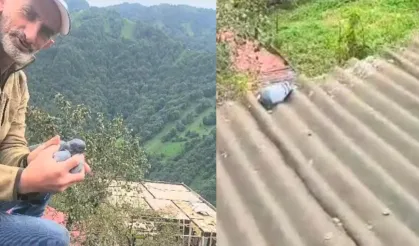 Köy sakininin dikkati ve duyarlılığı bir güvercini hayata bağladı