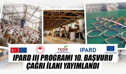 IPARD III Programı'nın 10'uncu başvuru çağrı ilanı yayımlandı