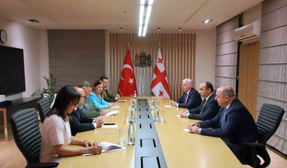 Korgeneral Kadıoğlu, Gürcistan İçişleri Bakanı Geladze ile görüştü