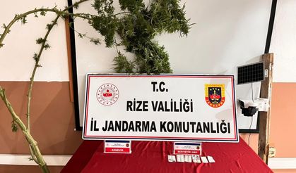 Rize'de operasyon: 3 kişi yakalandı