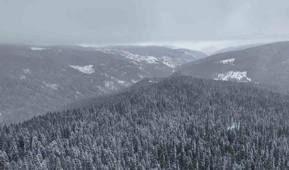 Beyaza bürünen Ilgaz Dağı havadan görüntülendi