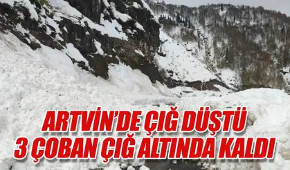 Artvin'in Ardanuç ilçesi Aksu Yaylası'nda çığ düştü