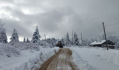 Rize ve Artvin'in yükseklerinde yoğun kar yağışı bekleniyor