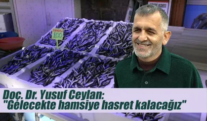 Bilim İnsanları Uyardı: Karadeniz’de Hamsi Tükeniyor