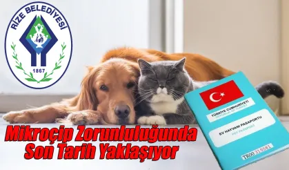 Kedi ve Köpek sahipleri dikkat! Son Tarih Yaklaşıyor