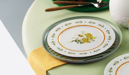 Sunum Tabaklarını Kullanmanın Farklı Yolları