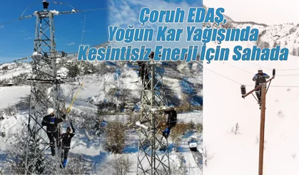 Çoruh EDAŞ, Yoğun Kar Yağışında Kesintisiz Enerji İçin Sahada