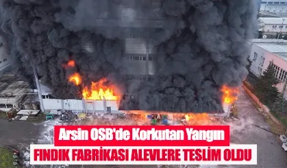 Arsin OSB'de fındık fabrikası alevlere teslim oldu
