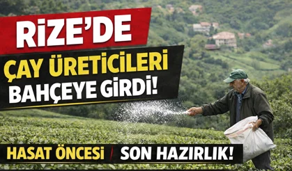 Çayda Büyük Geri Sayım! Üretici Sezona Kilitlendi