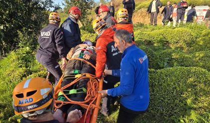 Rize’de Araç Çaylık Araziye Yuvarlandı