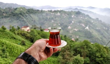 Rize Esnafı İnternetten Satışla Büyüyor