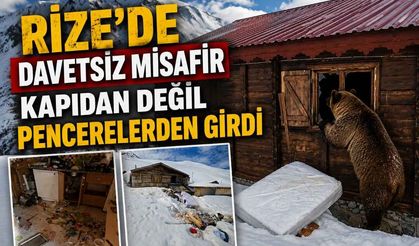 Rize’de Davetsiz Misafir Pencerelerden Girdi