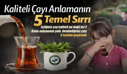 Kaliteli Çayı Anlamanın 5 Temel Sırrı