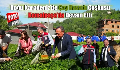 Doğu Karadeniz’de Çay Hasadı Coşkusu Kemalpaşa’da Devam Etti