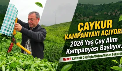 ÇAYKUR 2026 Yaş Çay Kampanyasını Açıyor