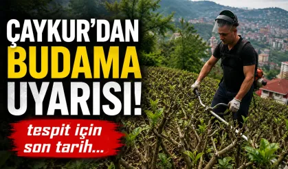 ÇAYKUR’dan üreticiye budama tarihi uyarısı