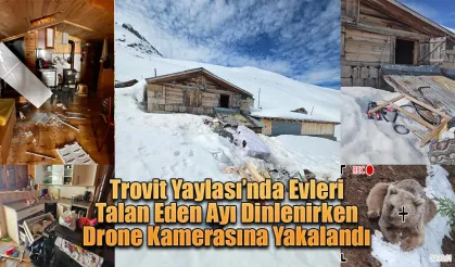 Evleri talan etti dinlenirken drone kamerasına yakalandı